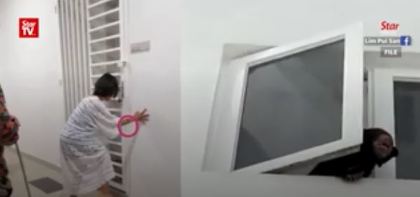 Penyanyi cantik ini kena masalah karena miliki peliharaan tak biasa