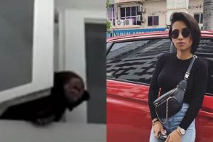 Penyanyi cantik ini kena masalah karena miliki peliharaan tak biasa