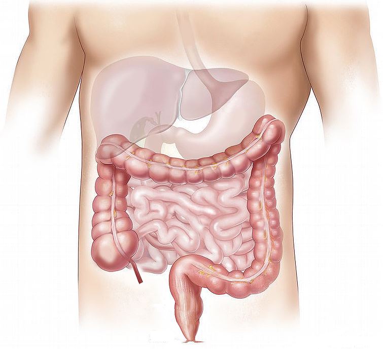 15 Jenis kanker kerap dijumpai di Indonesia & cara kenali gejalanya