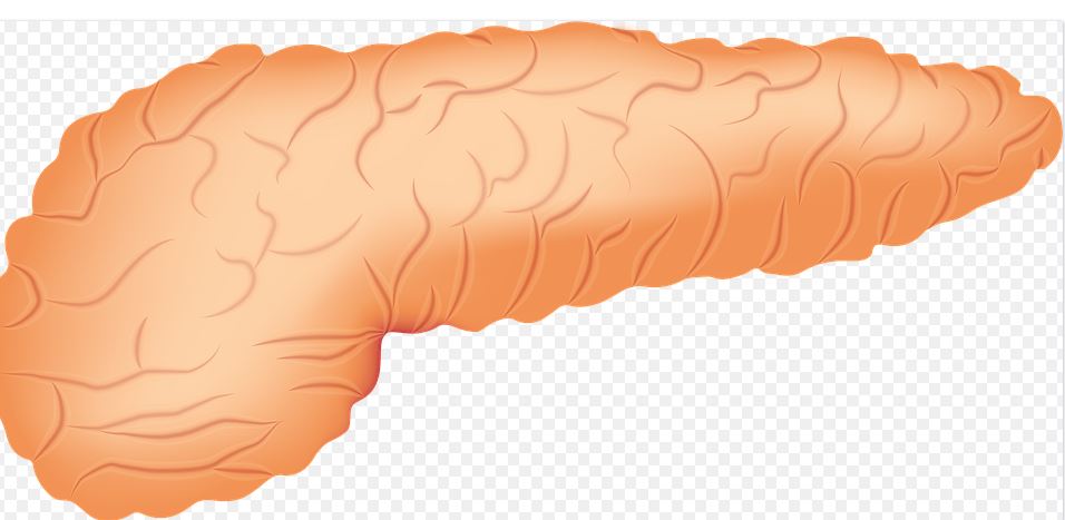 15 Jenis kanker kerap dijumpai di Indonesia & cara kenali gejalanya