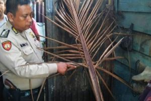 Gara-gara pelepah kelapa, satu keluarga tewas tersetrum listrik