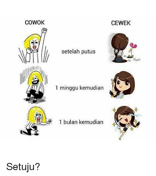 14 Meme lucu perbedaan cewek dan cowok saat putus