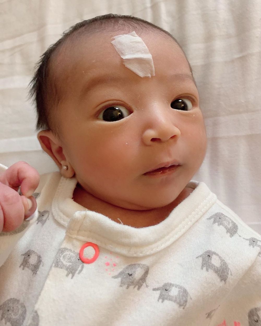 Beri saran Sarwendah soal Thania, Iis Dahlia malah tuai kritikan