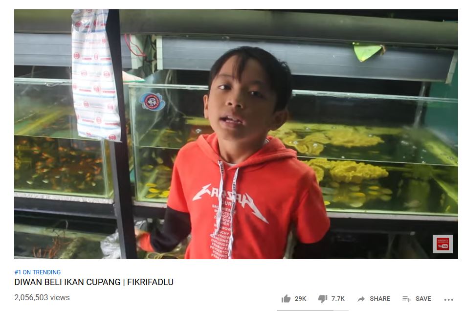Riuh sidang MK, video beli cupang ini malah trending nomor 1 YouTube