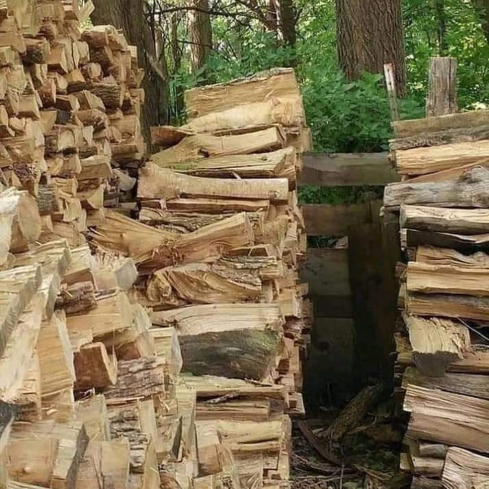 Uji kejelian mata, bisa temukan momen tersembunyi di 10 foto ini?