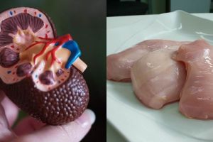 8 Makanan bikin ginjal sehat, alami dan mudah ditemukan