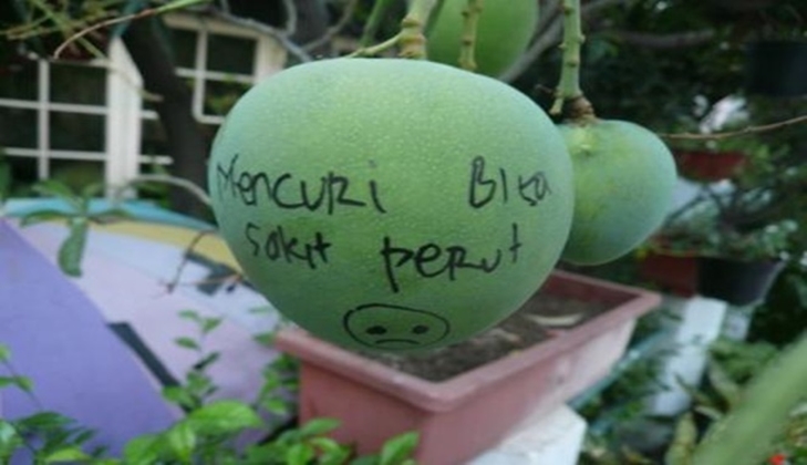 8 Cara lucu buah agar nggak dicuri ini bikin tepuk jidat