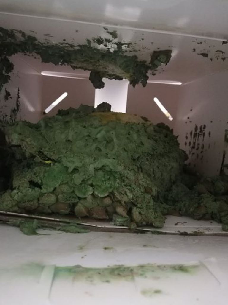 Beli kue durian seharga Rp 1,9 juta, wanita ini malah kena zonk