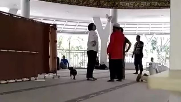 Mencari sang suami, wanita ini nekat bawa masuk anjing ke masjid