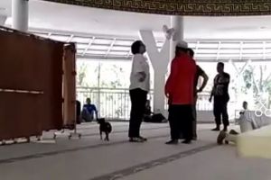  Wanita bawa anjing masuk masjid jadi tersangka penistaan agama