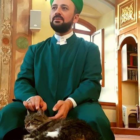 Di masjid ini kucing dibiarkan tinggal berdampingan dengan jamaah