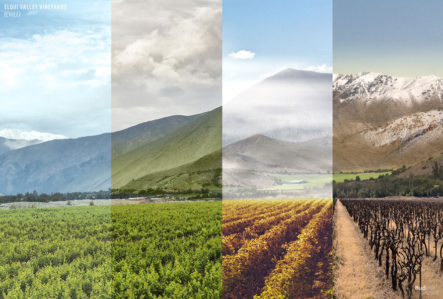 8 Foto kolase ini gambarkan perbedaan tempat dari musim ke musim