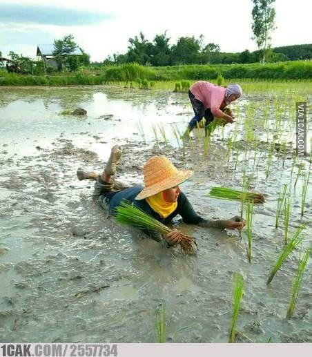 11 Tingkah lucu orang saat liburan ini mengundang senyum