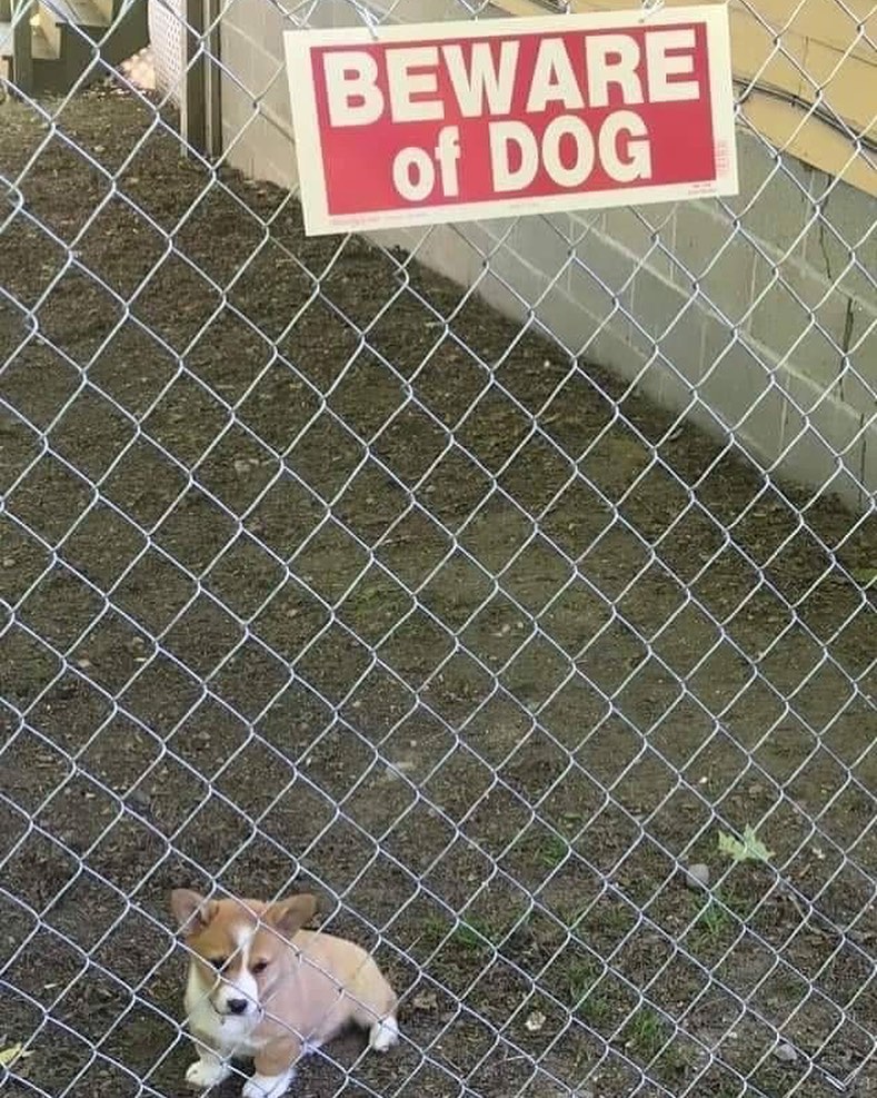 11 Peringatan keselamatan ini bikin auto tepuk jidat