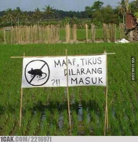 11 Peringatan keselamatan ini bikin auto tepuk jidat