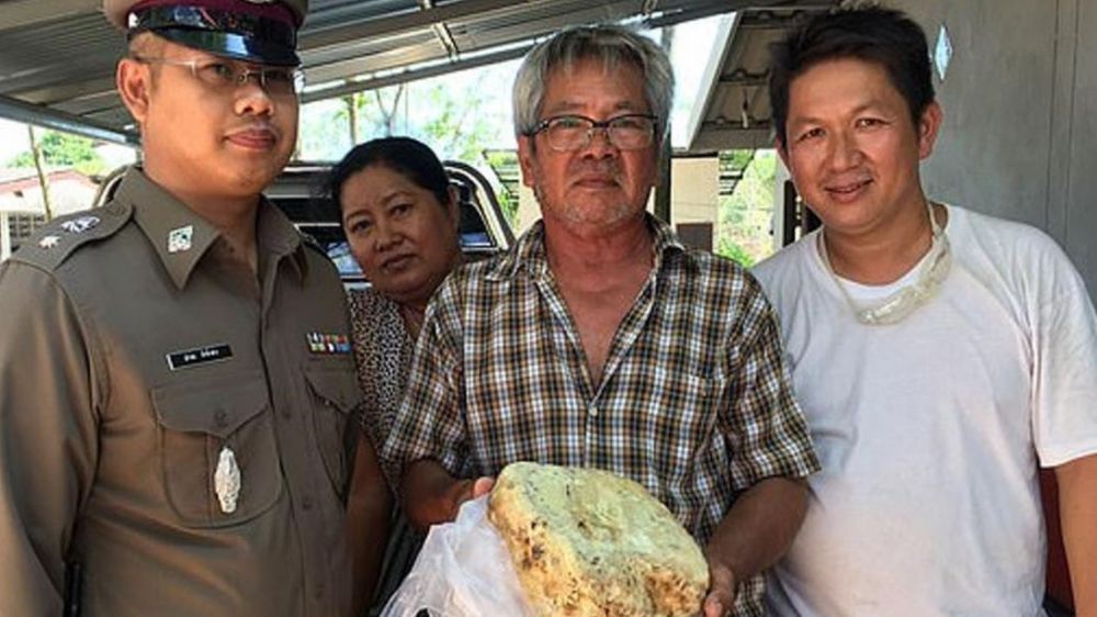 Nelayan ini kaget temukan muntahan paus senilai Rp 460 juta