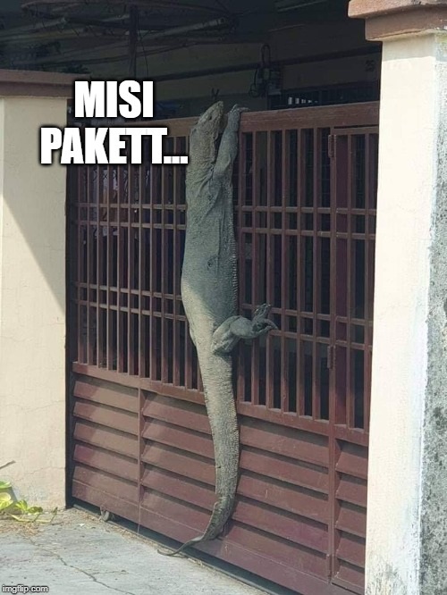 Viral foto biawak manjat pagar, 10 meme lucunya ini bikin ngakak
