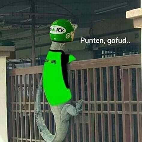 Viral foto biawak manjat pagar, 10 meme lucunya ini bikin ngakak