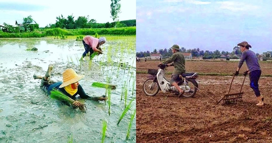 10 Aksi nyeleneh petani saat bercocok tanam ini bikin cekikikan