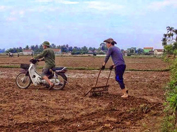 10 Aksi nyeleneh petani saat bercocok tanam ini bikin cekikikan