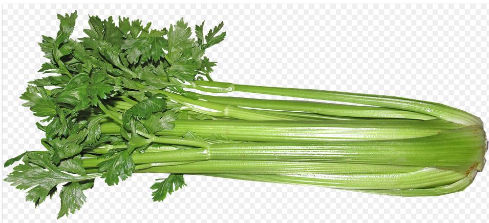 8 Sayuran turunkan asam urat, alami tanpa efek samping