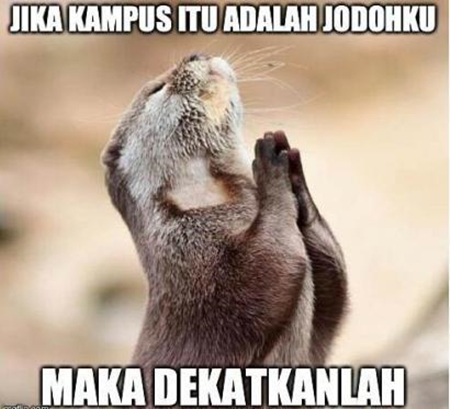 10 Meme lucu SBMPTN 2019 ini kocaknya bikin geregetan