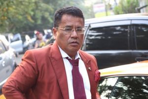 Hotman Paris ajak Iriana Jokowi kawal kasus 'ikan asin'