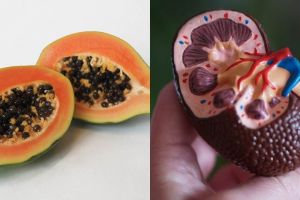 Kerap dibuang, ini 7 manfaat biji pepaya untuk kesehatan