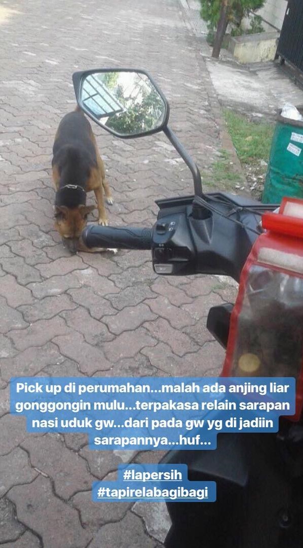 8 Curhat lucu driver ojek online takut anjing ini bikin cekikikan