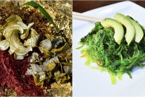 6 Manfaat rumput laut untuk kesehatan, cocok untuk program diet