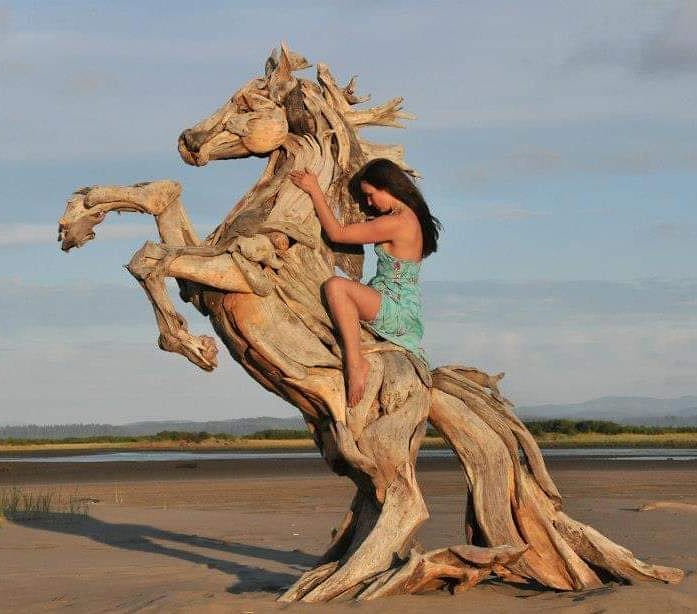 13 Patung hewan dari potongan kayu di pantai ini bikin takjub