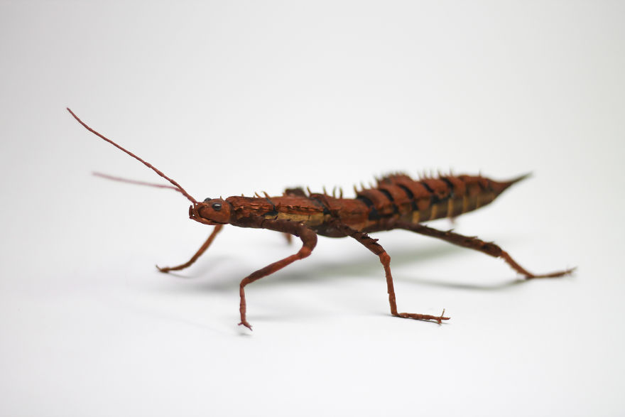 10 Replika serangga terbuat dari kertas ini terlihat nyata banget