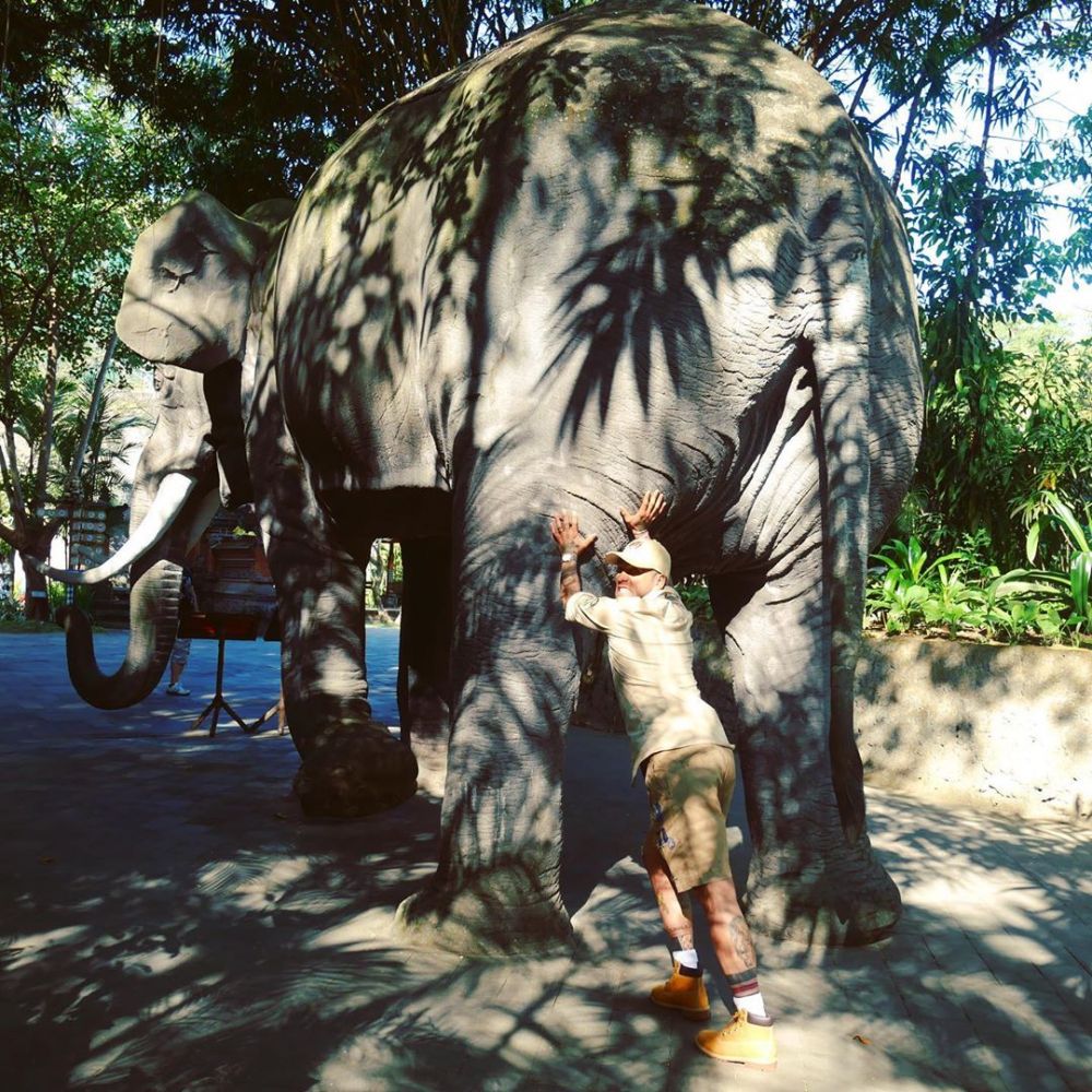 12 Potret liburan seru Dani Alves dan istri di Bali, foto bareng satwa