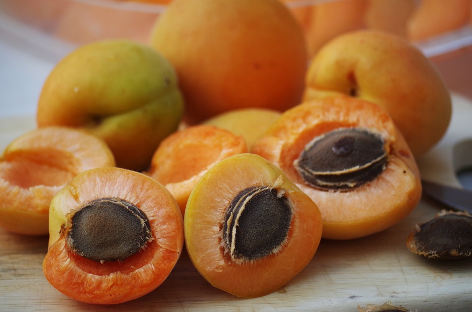 Manfaat aprikot untuk kesehatan istimewa