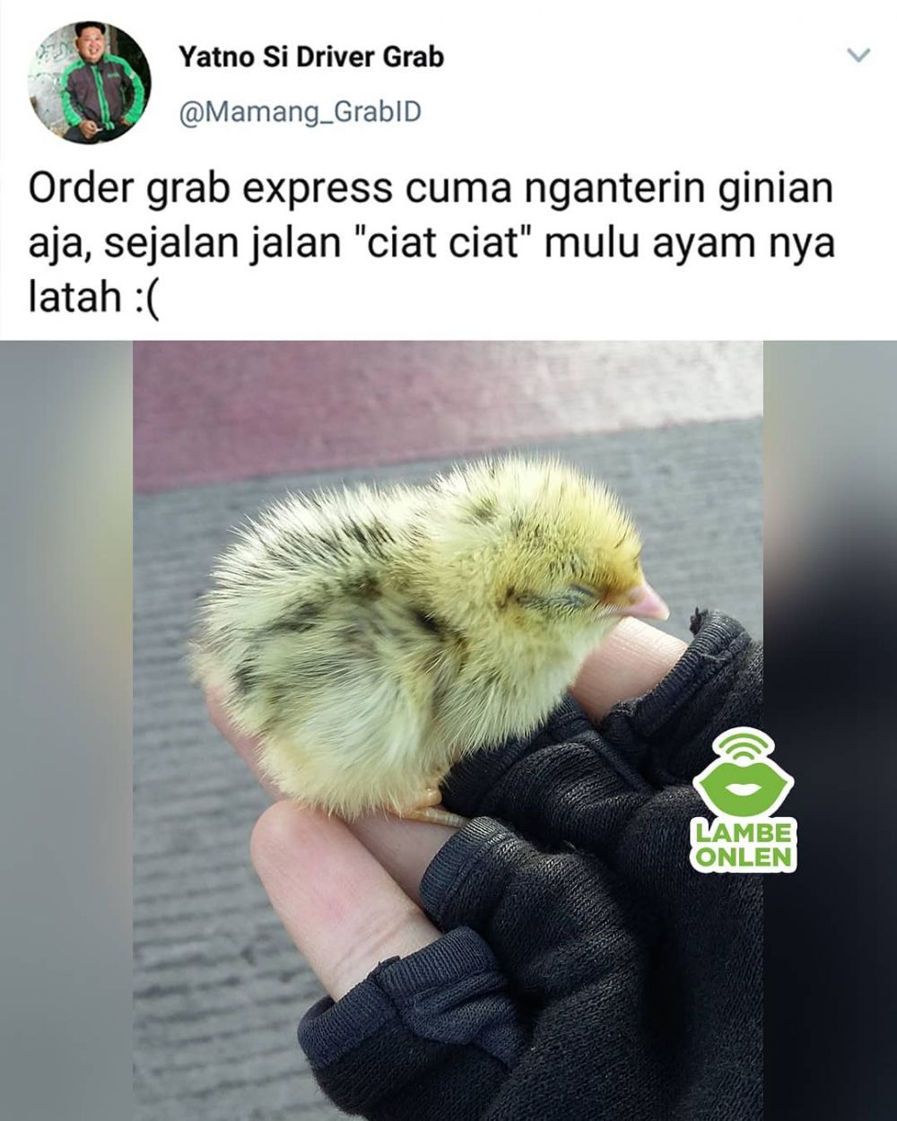 9 Curhat driver ojek online dapat order mengantar hewan ini kocak