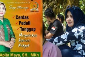 4 Pembelaan Evi Apita Maya, caleg 'kelewat cantik' yang digugat ke MK