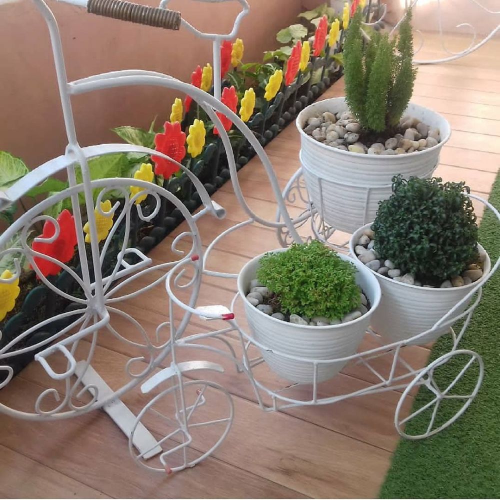 20 Inspirasi penataan tanaman hijau di ruangan, beri kesan asri