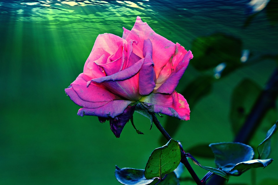 10 Cara cepat hilangkan mata bengkak karena menangis