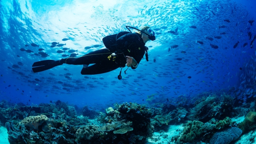 7 Spot diving mendunia di Tanah Air, naik AirAsia lebih hemat