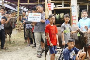 Kisah 7 bocah nabung 10 bulan untuk beli sapi kurban, bikin salut