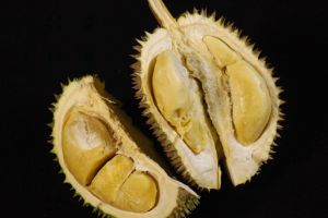 Penelitian ini buktikan kulit buah durian bisa cegah bau napas
