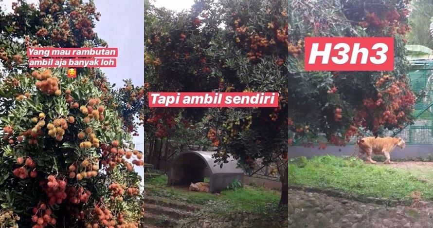 101 Status medsos lucu tentang makanan ini bikin geli sendiri