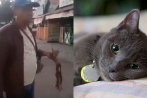 Viral pria makan kucing hidup-hidup, polisi cari pelaku