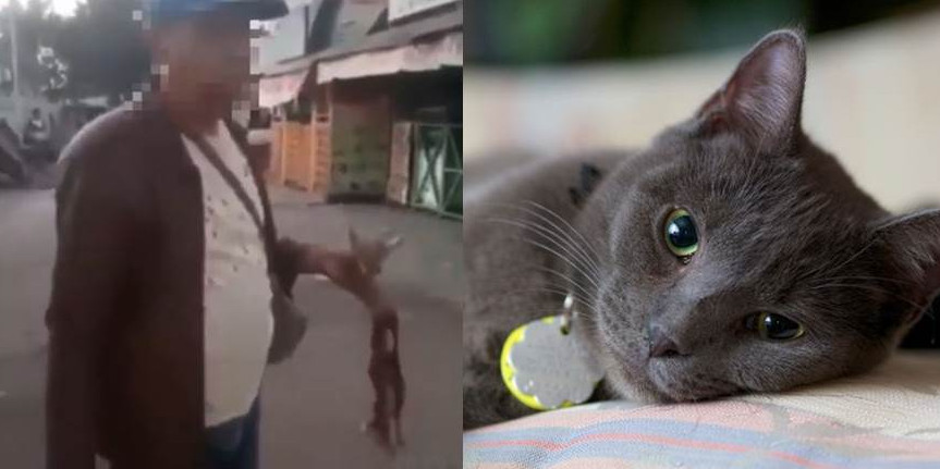 Aksi pria makan kucing hidup-hidup dikecam para pecinta hewan