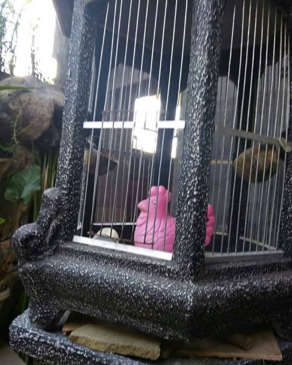 10 Isian wadah ini tak sesuai ekspektasi, bikin ketawa kesal