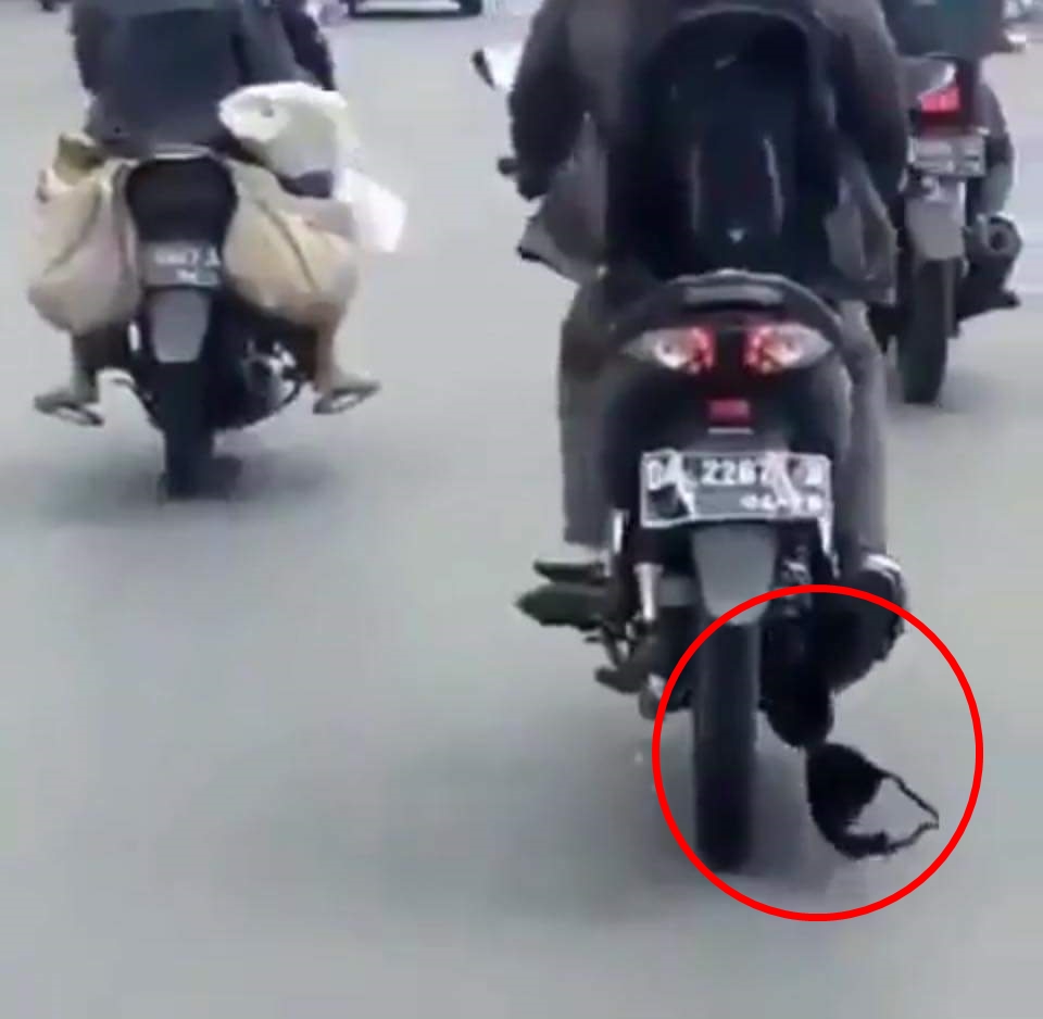 7 Momen absurd benda nyangkut di pengendara motor ini kocak abis