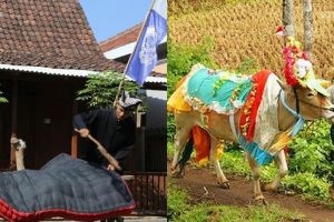 6 Tradisi unik jelang Idul Adha di Indonesia, ada jemur kasur