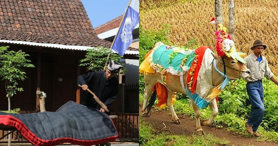 6 Tradisi unik jelang Idul Adha di Indonesia, ada jemur kasur