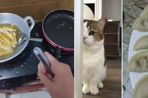 10 Momen apes saat memasak, bikin nggak jadi kenyang