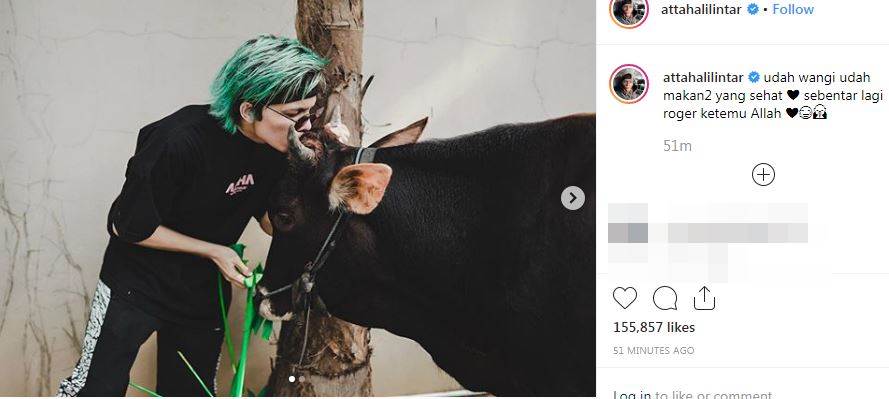 Gaya 8 Seleb narsis bareng hewan kurban, Ayu Ting Ting jadi sorotan